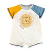 Be Kind Lion Shortall