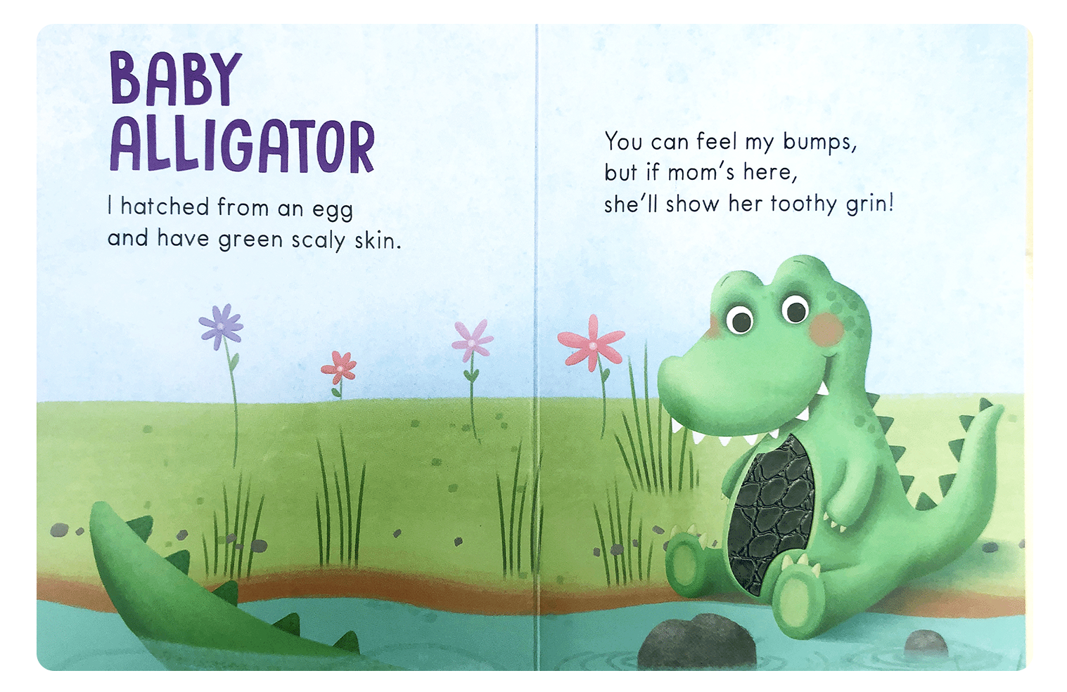 Baby Animals: A Touch and Feel Book