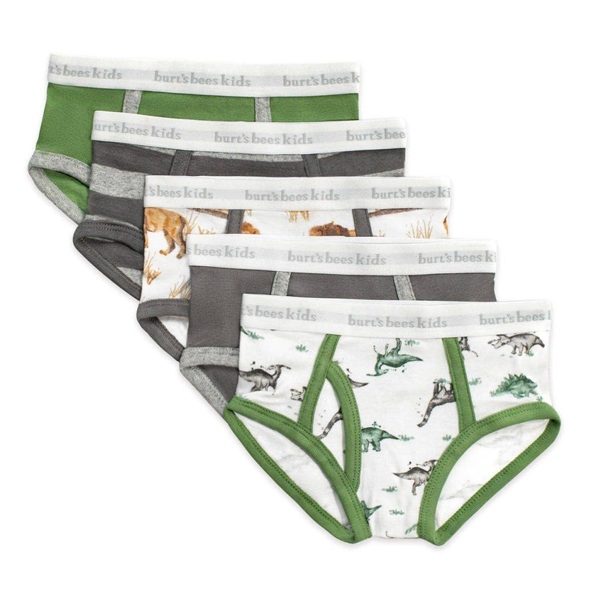 Boys Set of 5 Happy Herbivores & Lions Underwear