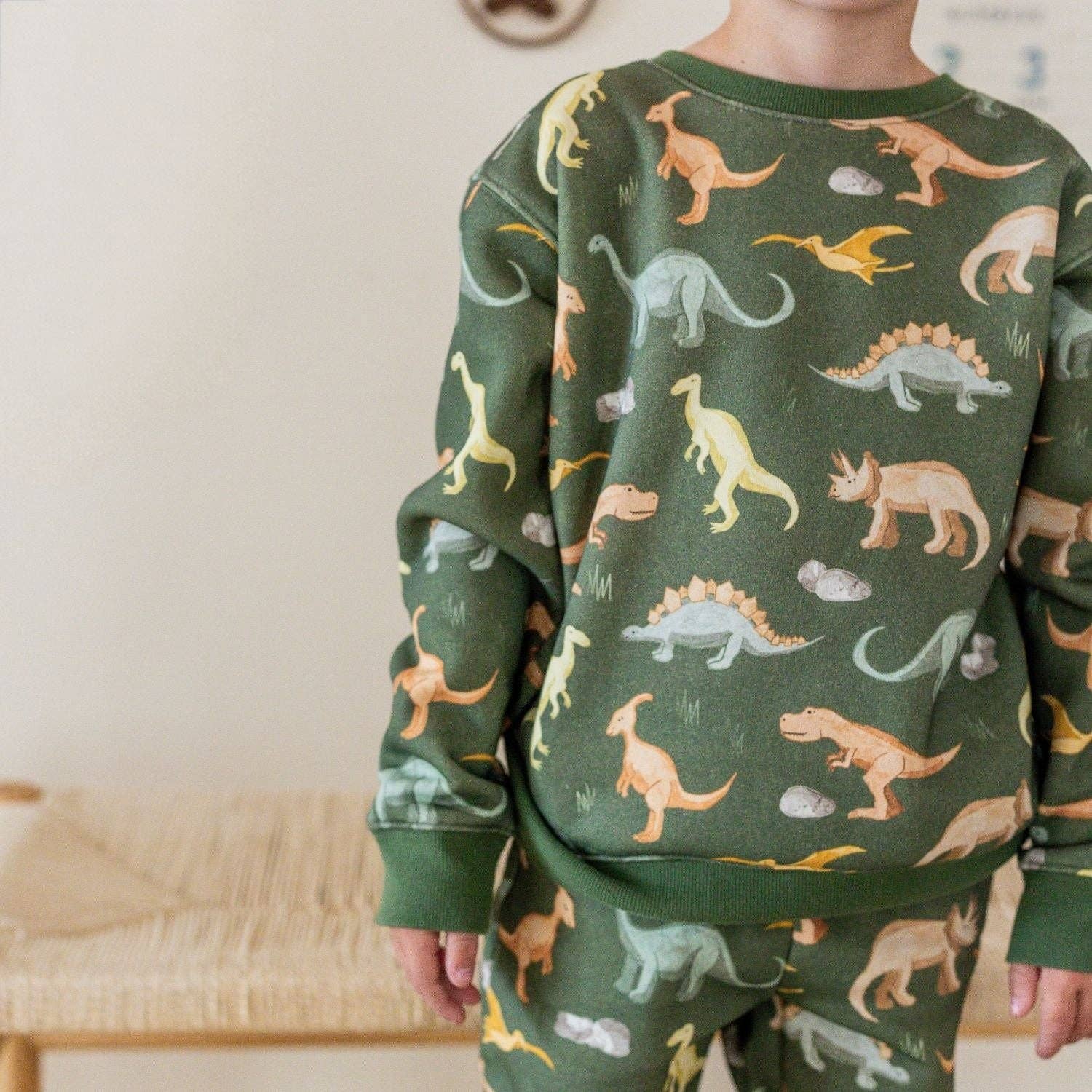 Dinosaurs Rock Sweatshirt - Boys Clothing - Fall/Winter