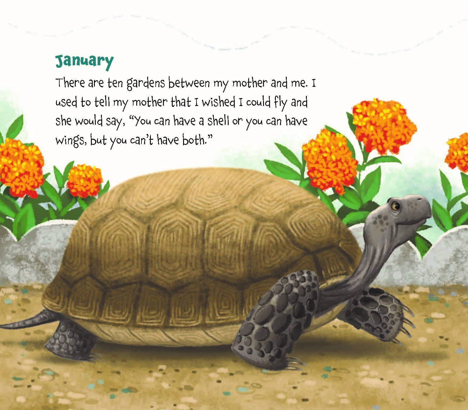 Memoirs of a Tortoise, a picture book