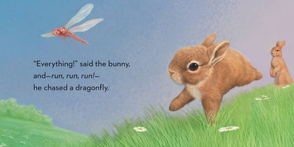 Little Bunny Board Book