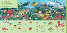 101 Sea Creatures to Find Board Book