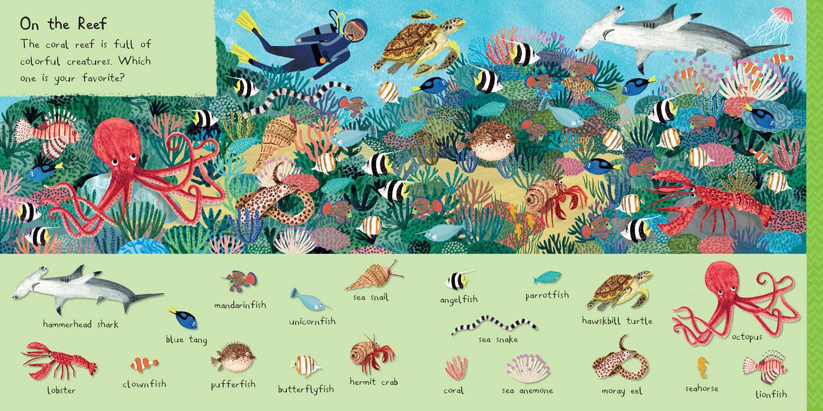 101 Sea Creatures to Find Board Book
