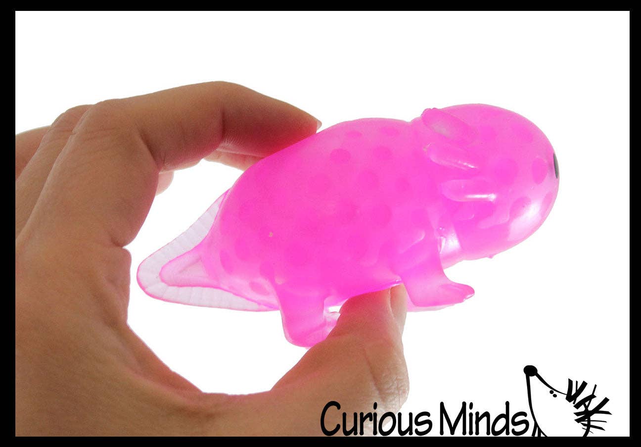 Axolotl Water Bead Filled Squeeze Stress Ball - Sensory Toy