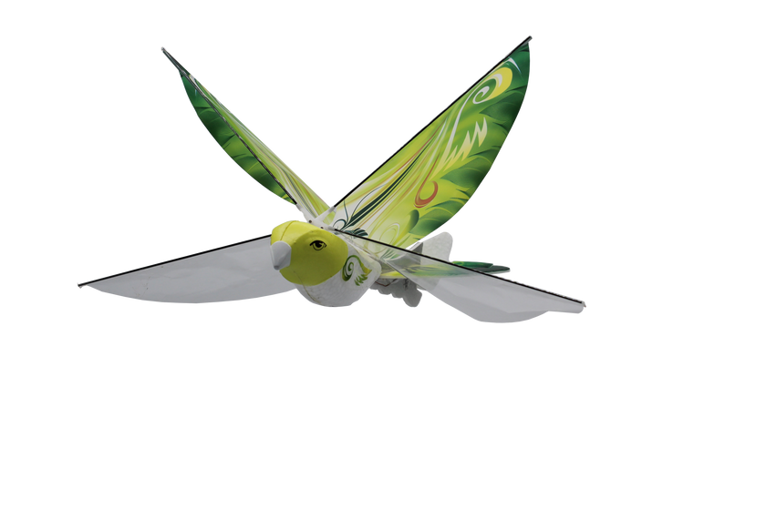 EBird Green Parrot Toy - 2.4 GHz RC Flap Wings Flying Bird Drone