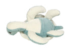Scooter the Sea Turtle Tooth Fairy