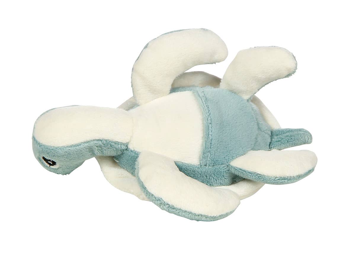 Scooter the Sea Turtle Tooth Fairy