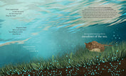 Meadows of the Sea: The Wonders of Seagrass Picture Book