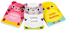 Animal Families: On the Farm Book
