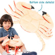 Cora The Crab - 19 Inch Stuffed Animal Plush