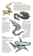 Super, Strong Tattoo Sharks