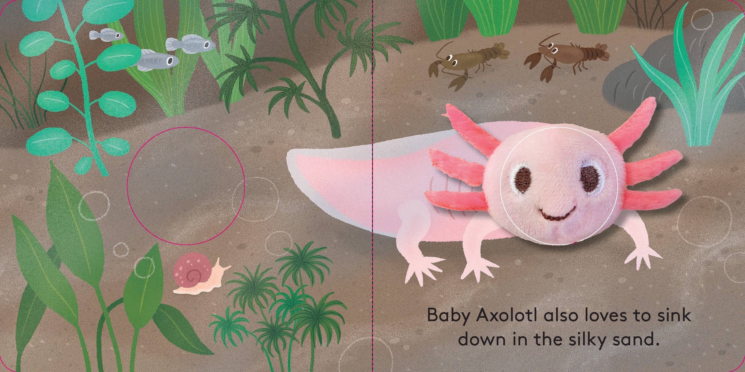 Finger Puppet Board Book- Baby Axolotl