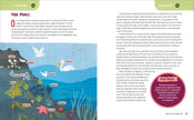 Ocean Activities for Kids