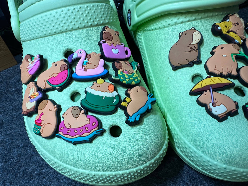 Capybara Shoe Charms