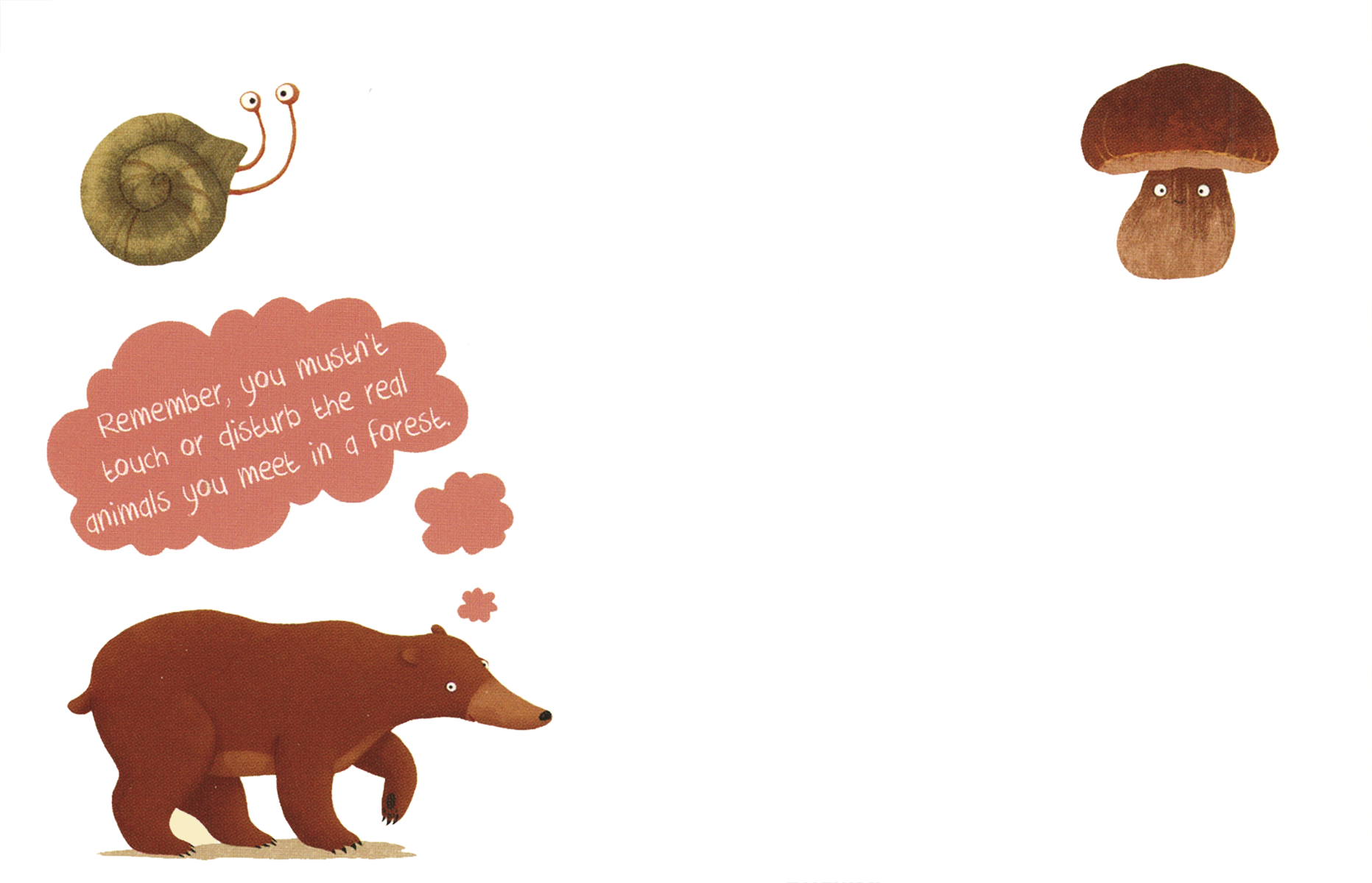 A Year in the Forest with Bear Board Book