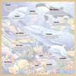 Wood Fun Facts - Undersea Friends 48 Piece Wood Puzzle