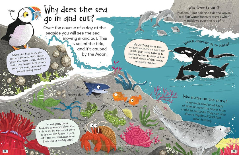 Curious Questions and Answers About Our Oceans Hardcover Book
