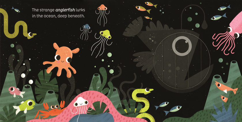 In the Ocean Board Book