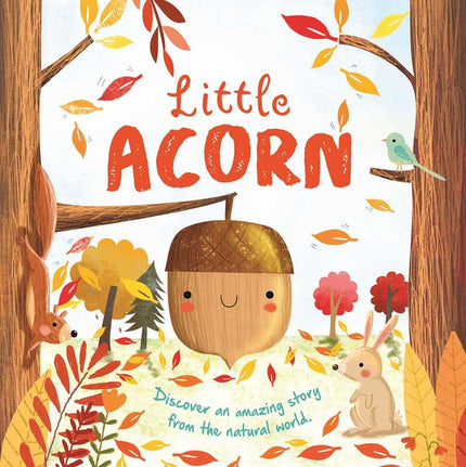 Nature Stories: Little Acorn-Discover an Amazing Story from the Natural World Board Book