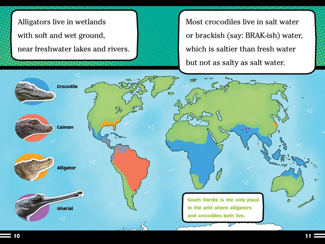 Alligators and Crocodiles Can't Chew! Book