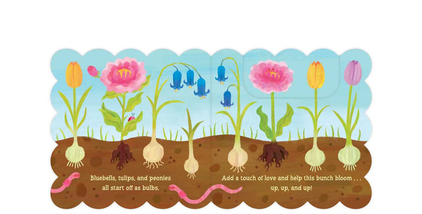 Spring Blooms Board Book
