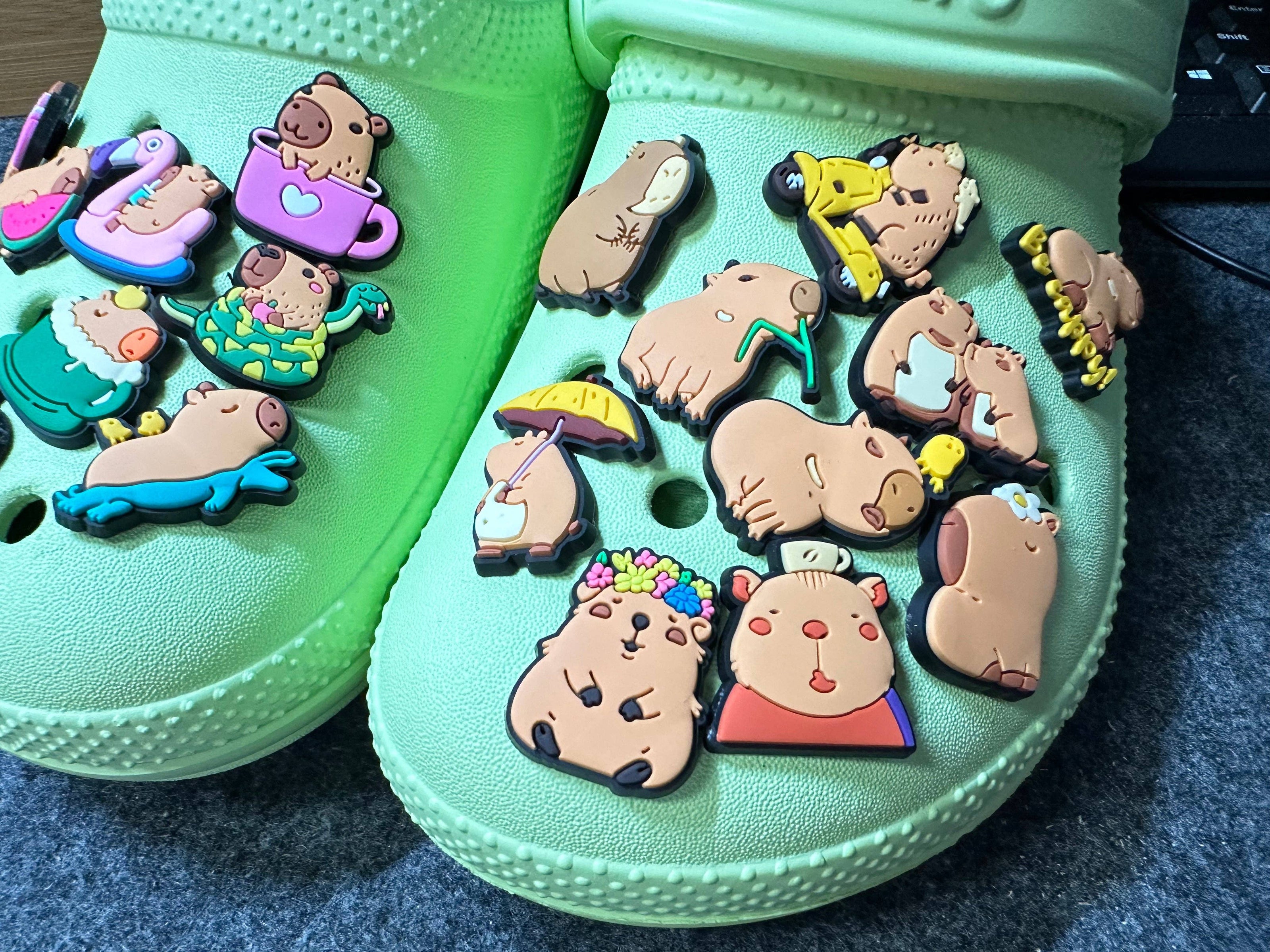 Capybara Shoe Charms