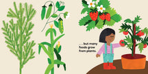 Our Food Grows Hardcover Book