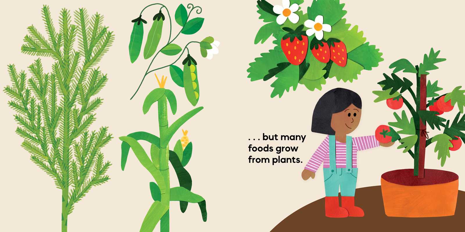 Our Food Grows Hardcover Book