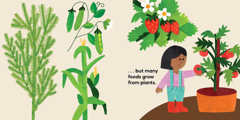Our Food Grows Hardcover Book