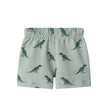 Boys Short Sleeve Cabana Set | Green Stripe Dino
