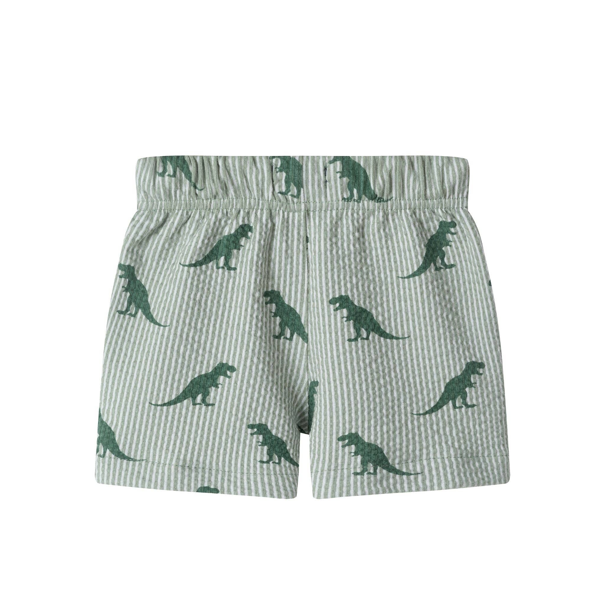 Boys Short Sleeve Cabana Set | Green Stripe Dino