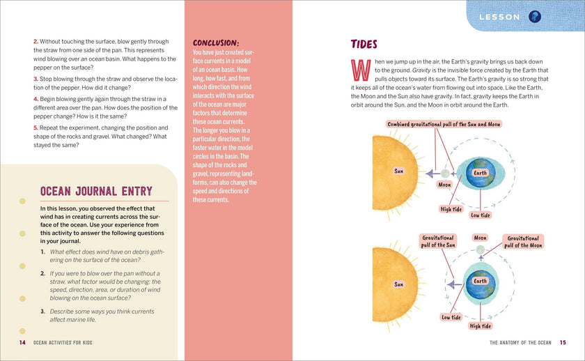 Ocean Activities for Kids