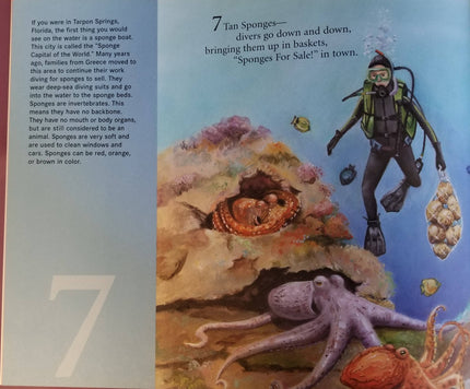 Sunny Numbers: A Florida Number book
