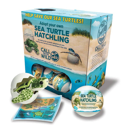 Sea Turtle Hatchling Plush Stuffed Animal
