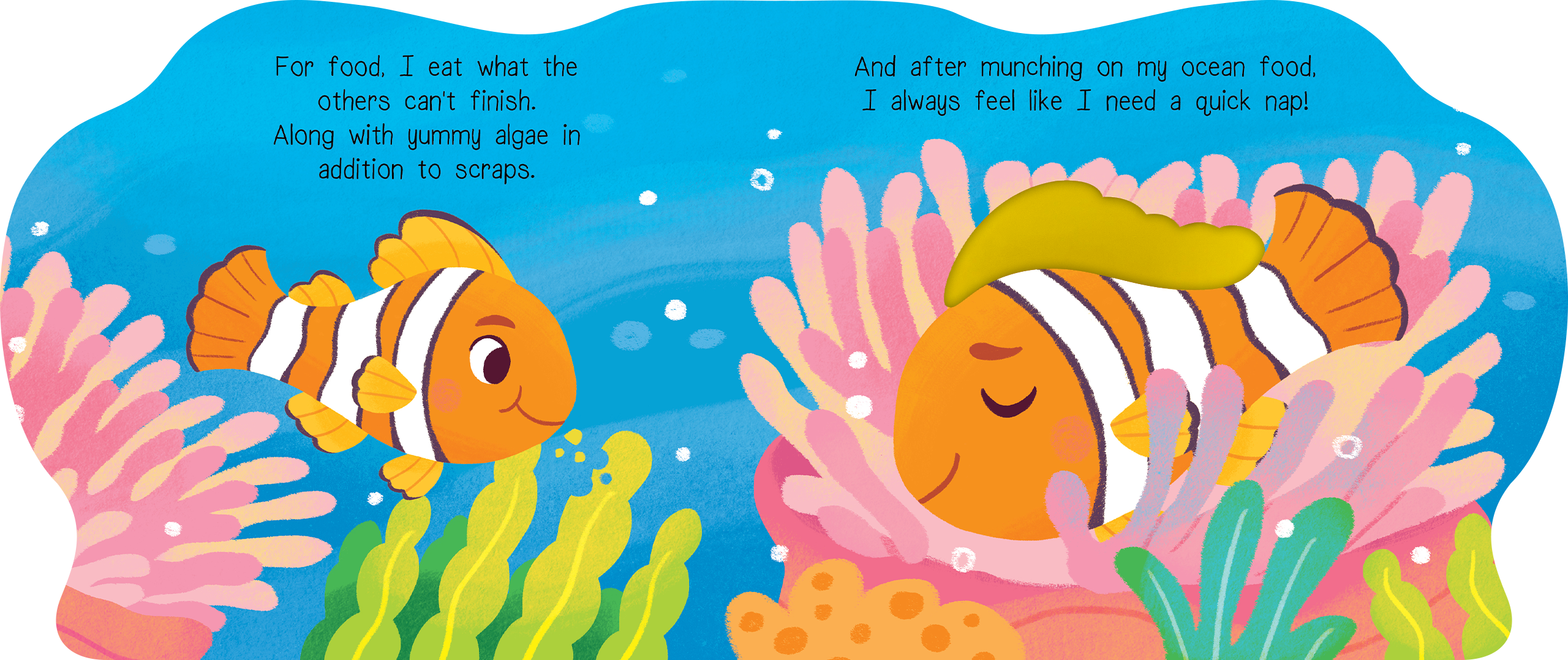 Coral Days with Clownfish Board Book
