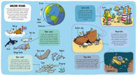 Little Explorers: Under the Sea Book