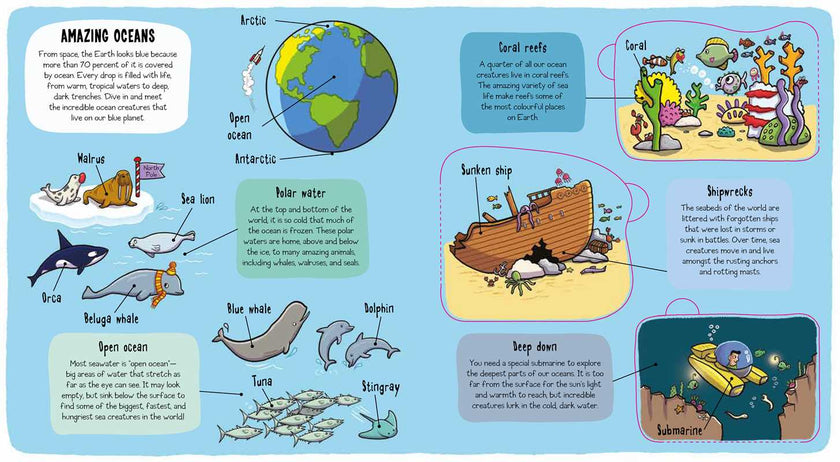 Little Explorers: Under the Sea Book