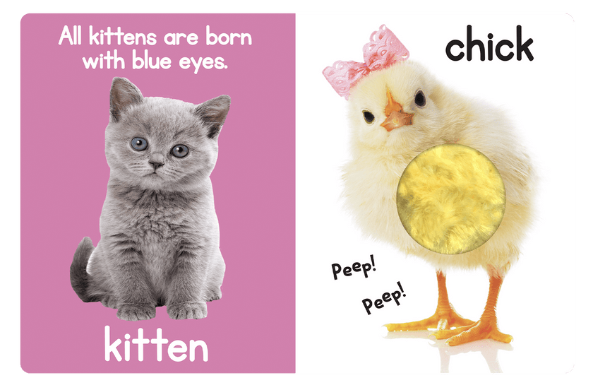 Adorable Animals Board Book
