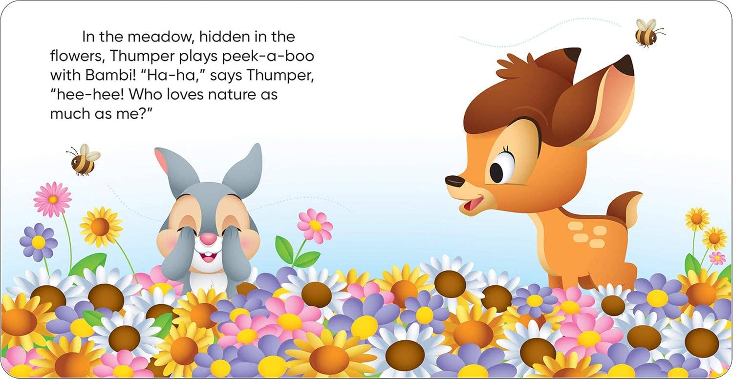 Disney Horray for Nature! Book