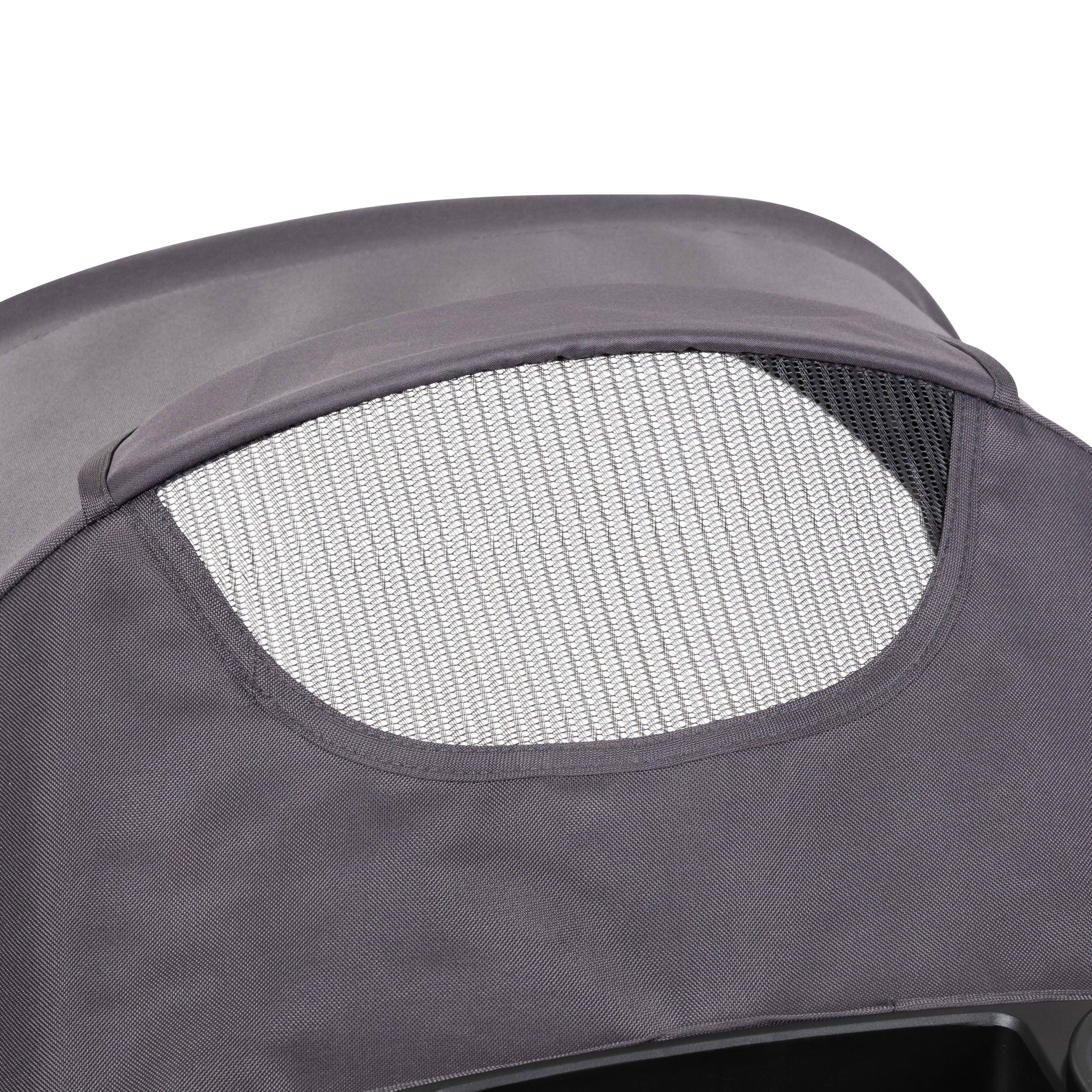 Passport Carriage Stroller