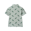 Boys Short Sleeve Cabana Set | Green Stripe Dino