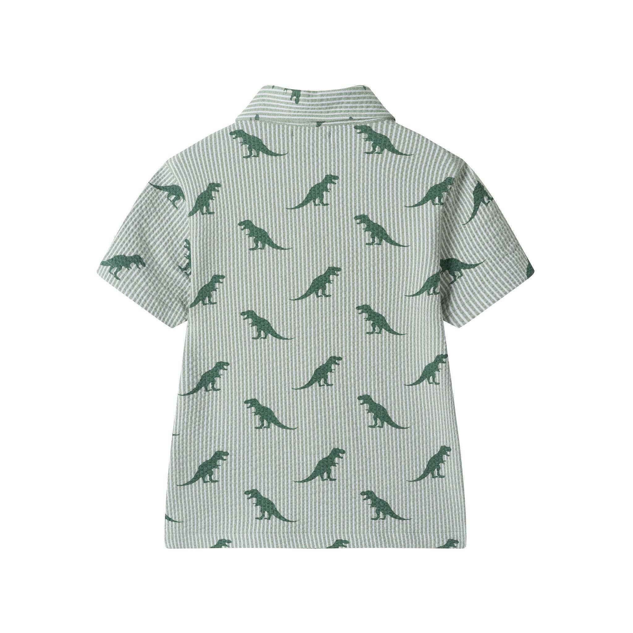 Boys Short Sleeve Cabana Set | Green Stripe Dino