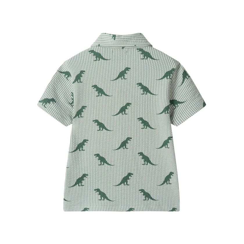 Boys Short Sleeve Cabana Set | Green Stripe Dino