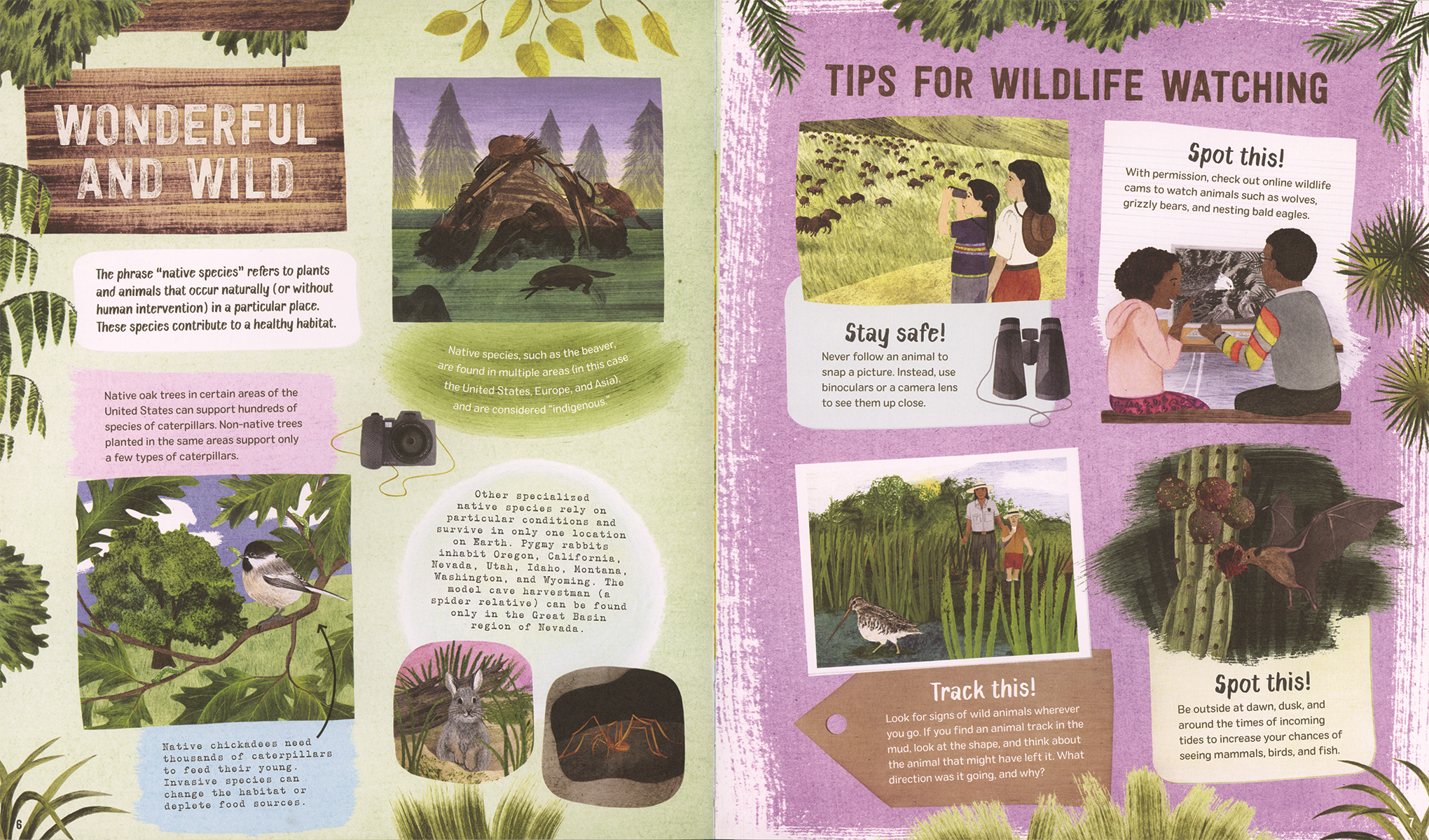 Explore! America's Wildlife Hardcover Book