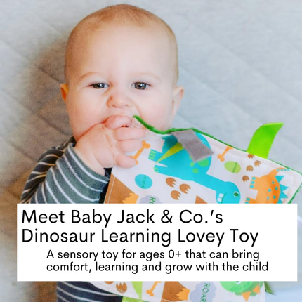 Dinosaur Learning Lovey Crinkle Tag Sensory Toy 8