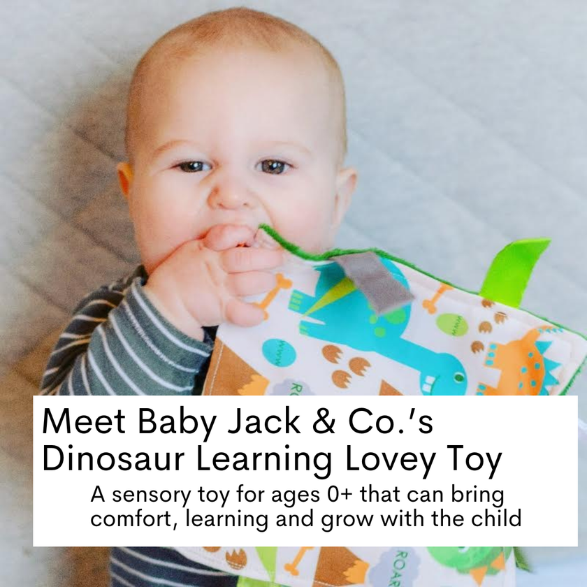 Dinosaur Learning Lovey Crinkle Tag Sensory Toy 8