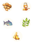 Feed the Animals Board Book
