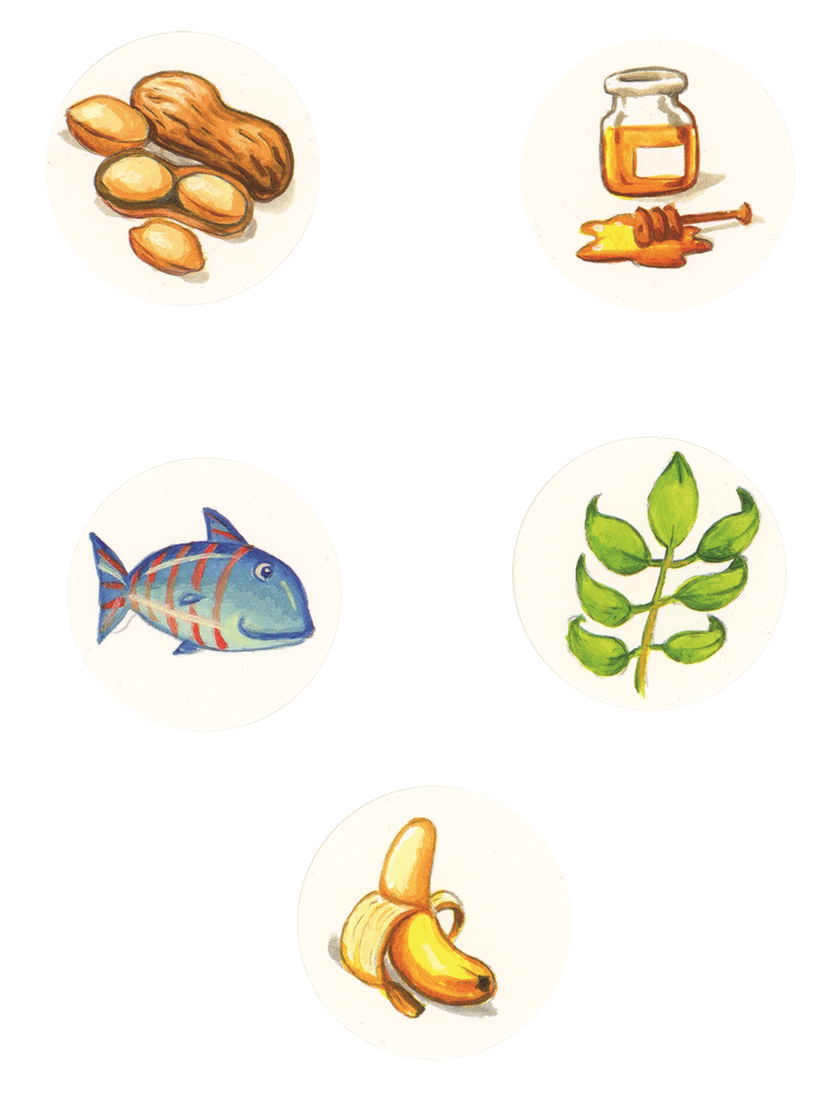 Feed the Animals Board Book