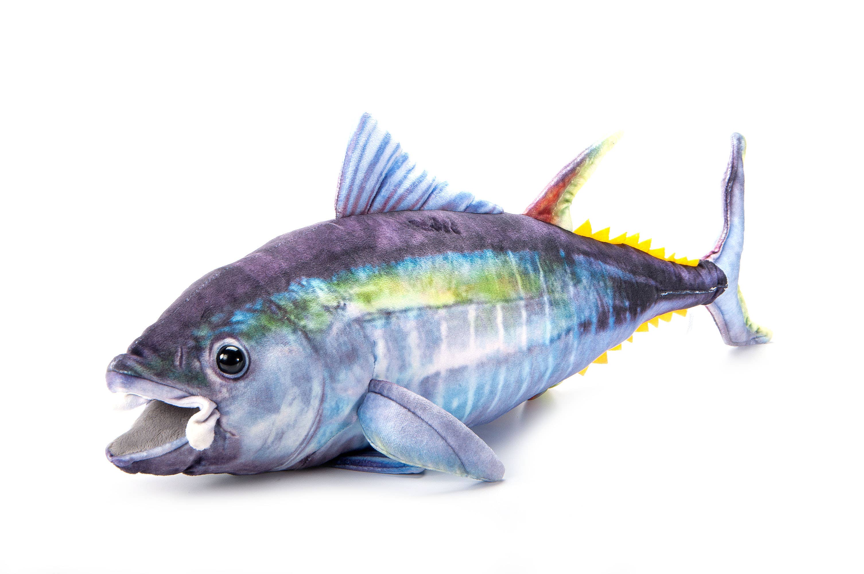 River Fish Tuna medium 26